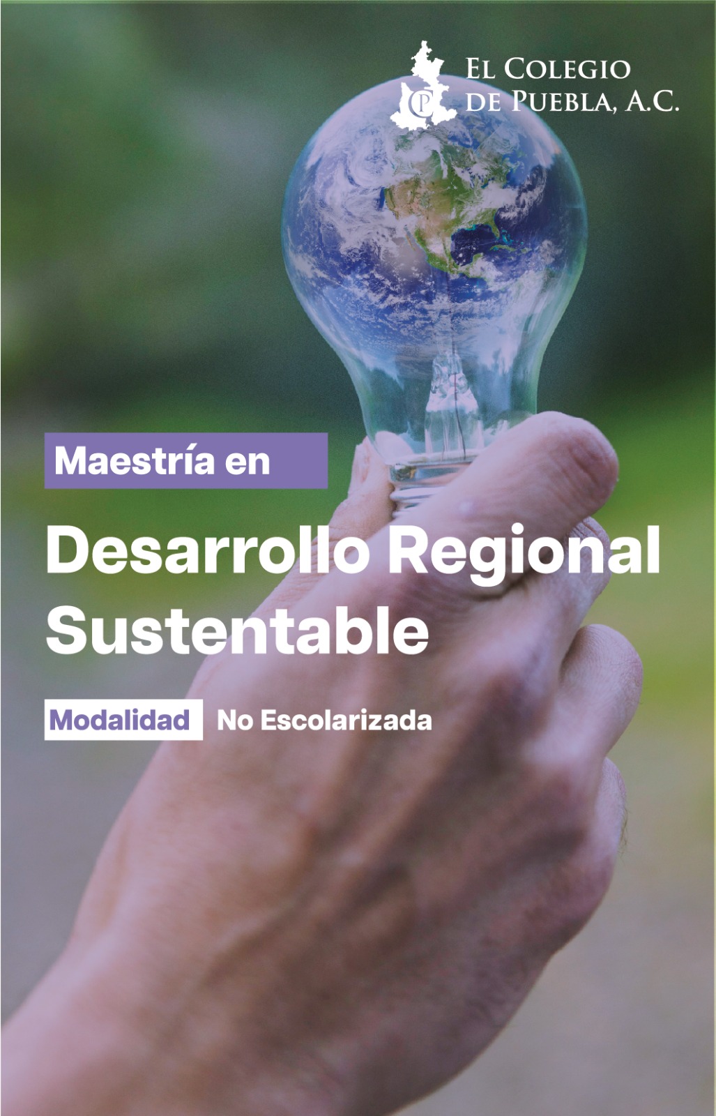 Maestría en Desarrollo Regional Sustentable