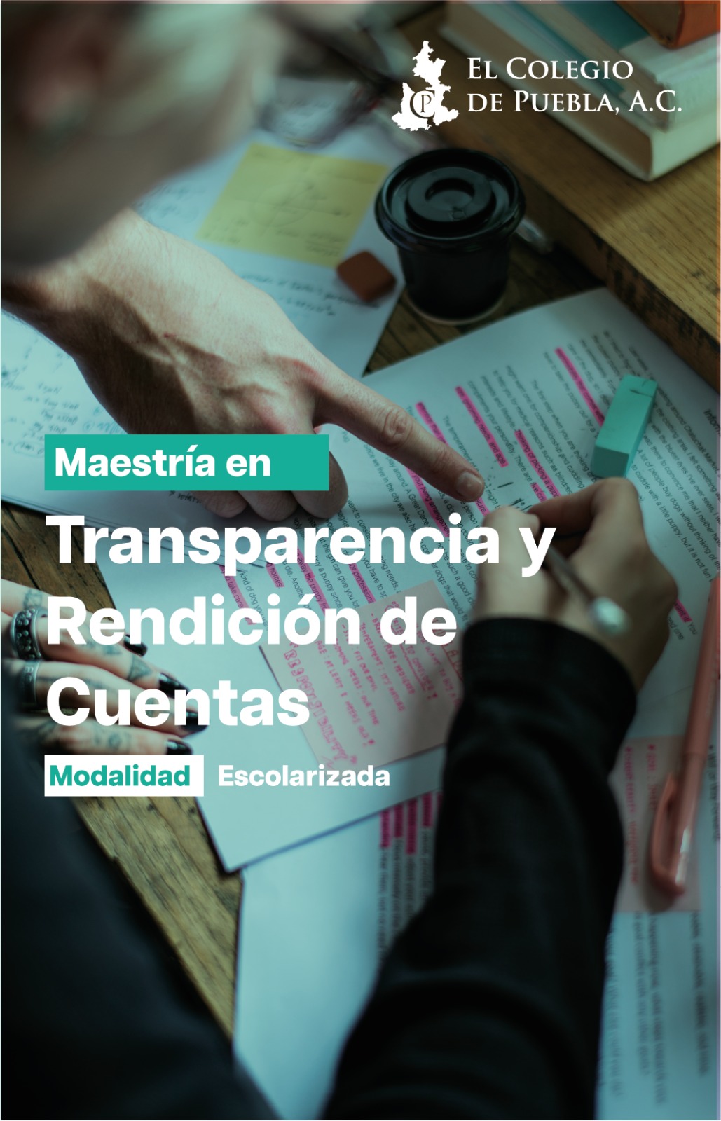 Maestría en Transparencia y Rendición de Cuentas
