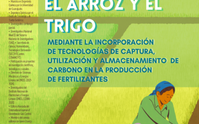 El potencial de descarbonizar el arroz y el trigo mediante la incorporación de tecnologías de captura, utilización y almacenamiento de carbono en la producción de fertilizantes