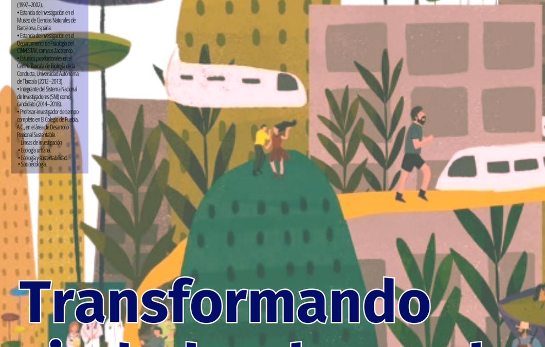 Transformando ciudades: lo que la urbanización hace al mundo alado